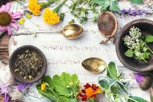 بهترین مسکن های گیاهی برای تسکین درد