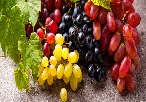 همه خواص انگور در طب سنتی + طبع و ارزش غذایی