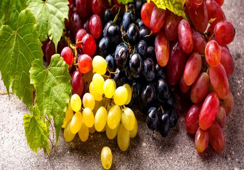 همه خواص انگور در طب سنتی + طبع و ارزش غذایی