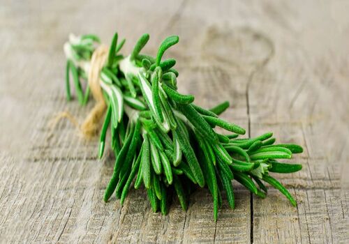 همه چیز در مورد رزماری و خواص آن 