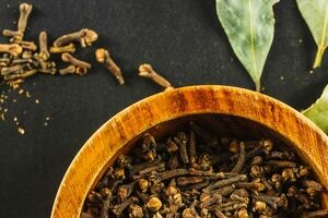 تاثیر عصاره میخک در بهبود کووید ۱۹