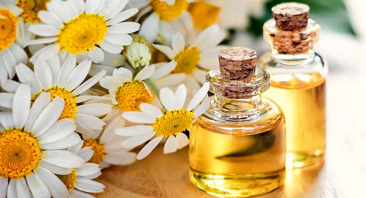 روغن بابونه برای مو 