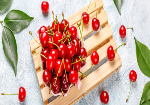 همه چیز در مورد آلبالو؛ خواص، کالری، طبع و ارزش غذایی آن