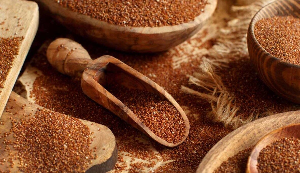 خاکشیر ؛ قاتل کبد چرب + نحوه استفاده 