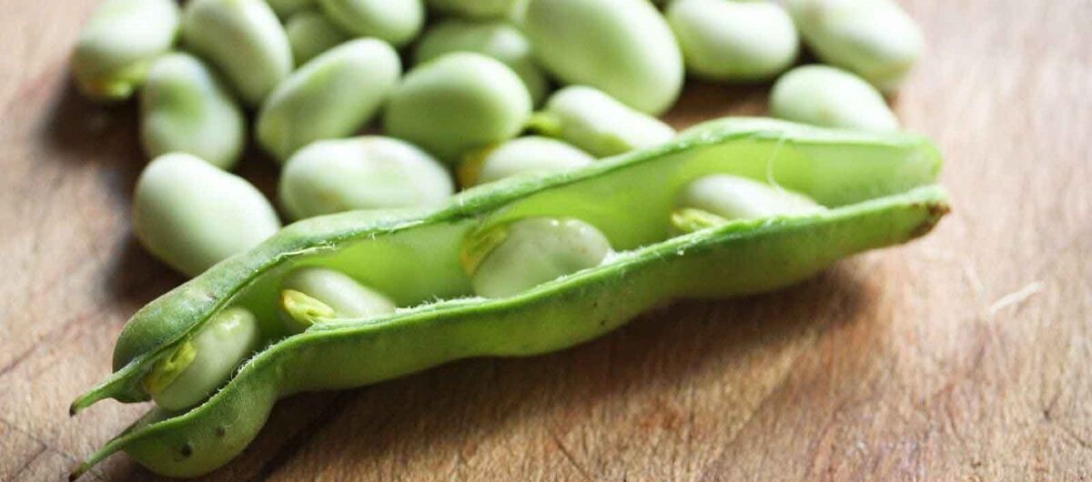 باقلا برای پوست و مو