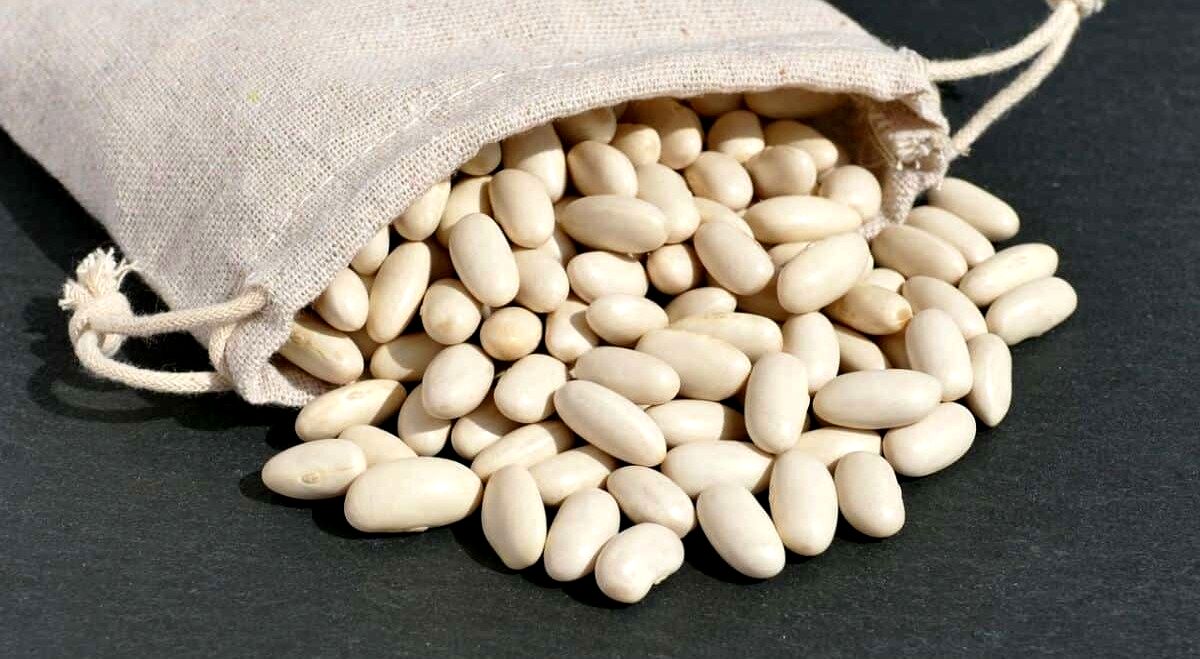 لوبیا سفید 