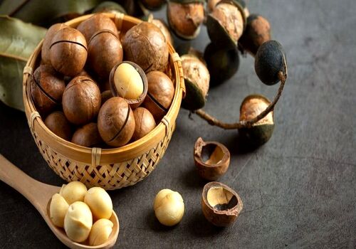 مهم ترین خواص فندق برای زنان و مردان از نظر طب سنتی