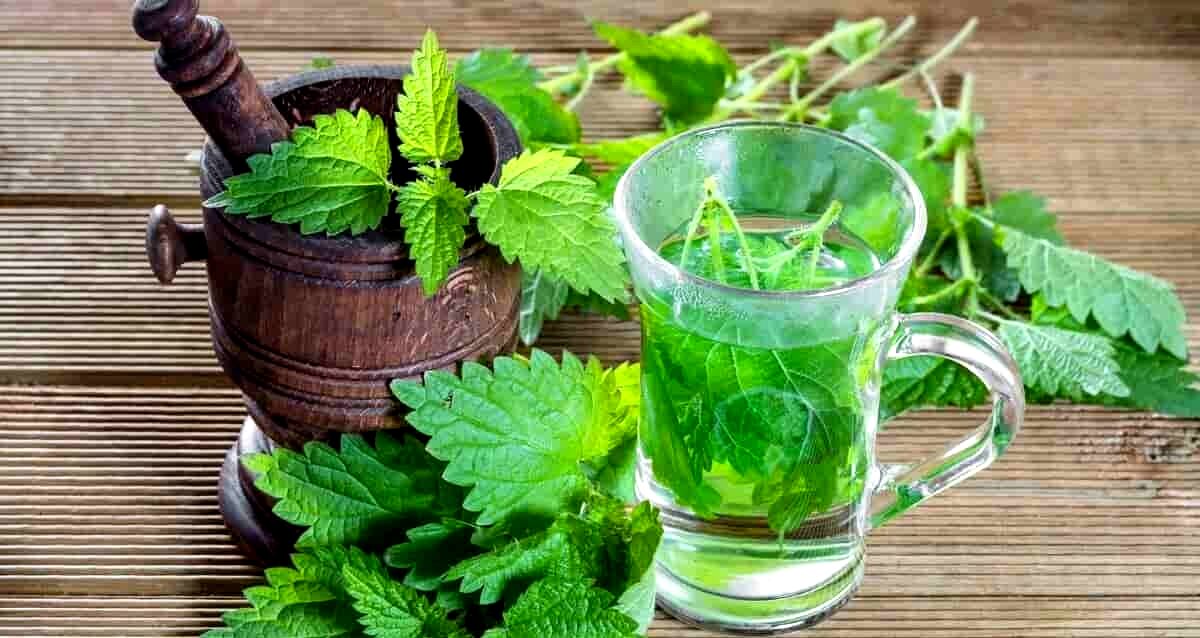مصرف عرق گیاهی؛ موثرترین راهکار برای درمان زود انزالی 
