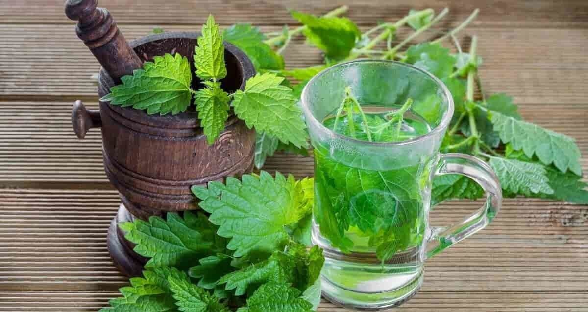 عرق گیاهی برای زود انزالی