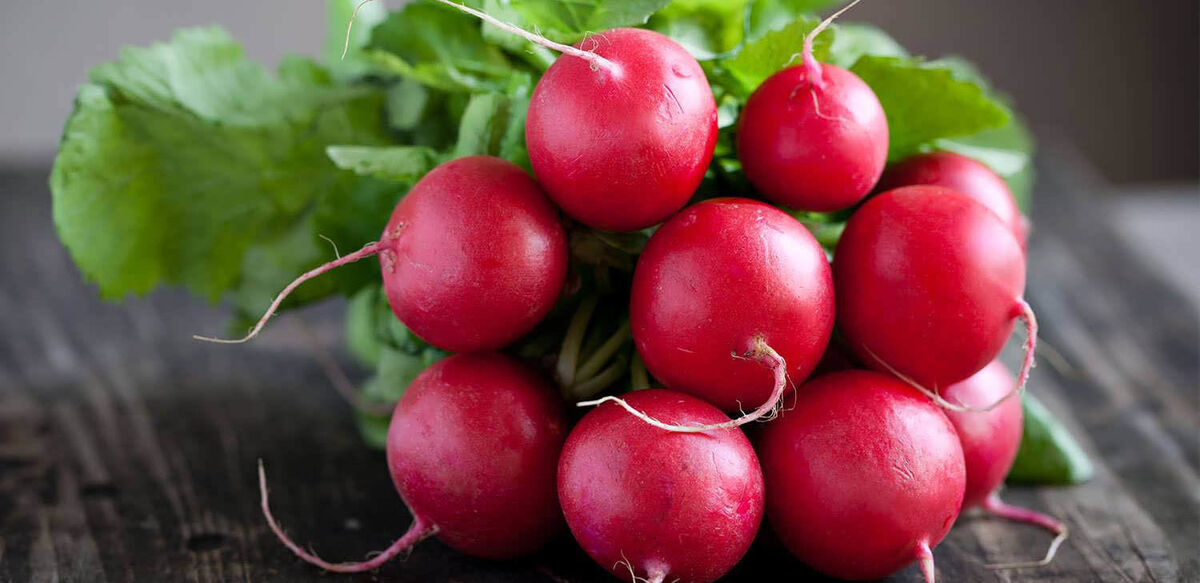 تربچه برای قلب