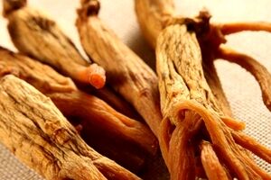 می دونستی جینسینگ با همه فوایدش، پرخطرترین گیاه داروییه؟