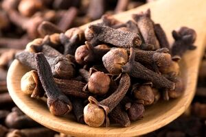 دم کرده میخک؛ چربی سوز ترین دمنوش برای لاغری + نحوه تهیه 