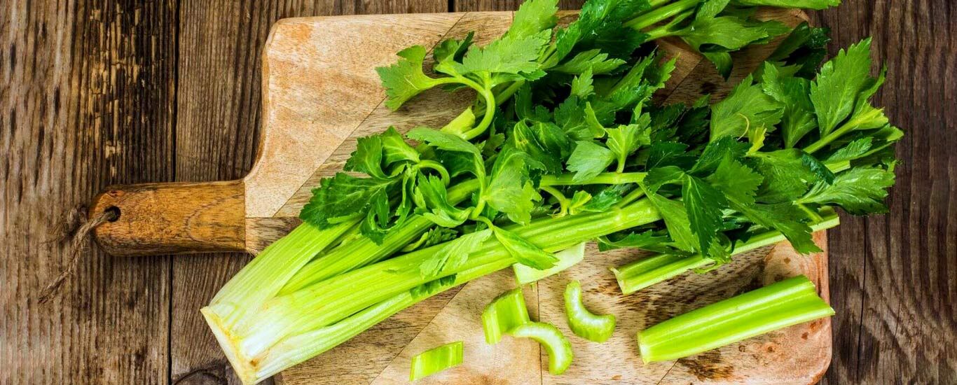 آشنایی با خواص معجزه آسای کرفس برای سلامت بدن + طبع
