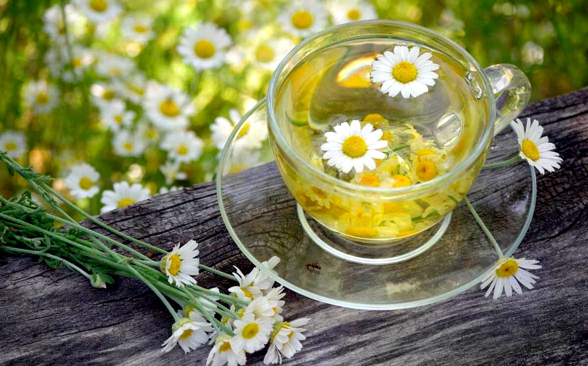 ترش کردن معده