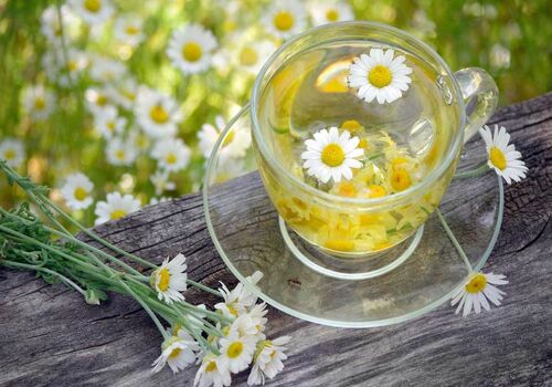 برای درمان ترش کردن معده چی بخوریم؟ 