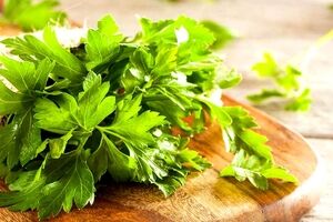 خواص جعفری برای سلامت بدن + طبع و ارزش غذایی 