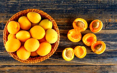 همه چیز درباره زردآلو؛ خواص، مضرات، طبع و ارزش غذایی آن 