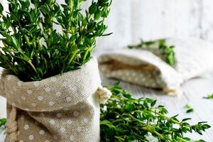همه چیز درباره مرزه و خواص آن + طبع و شیوه مصرف