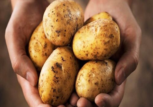 معجزه سیب زمینی برای تقویت پوست و مو + معرفی ماسک