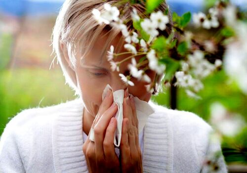 ۷ دمنوش گیاهی برای فرار از آلرژی فصلی در بهار + توضیحات 
