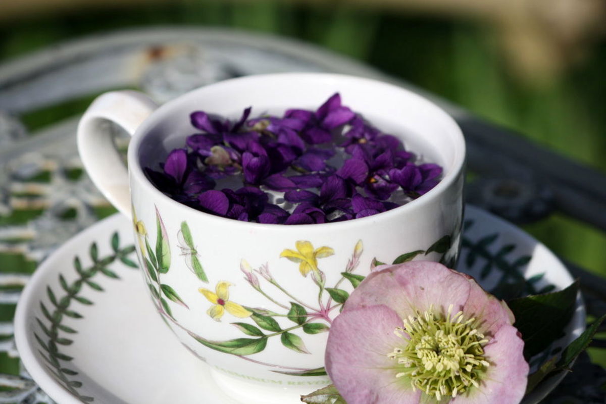دمنوش بنفشه برای خواب 