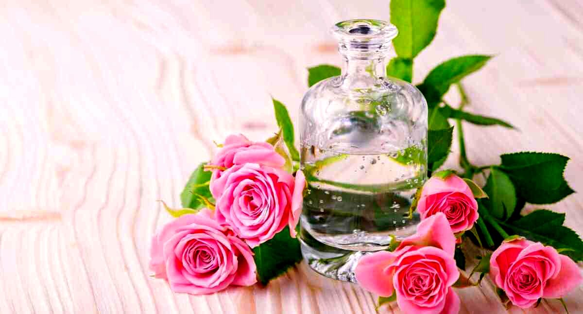 گلاب برای بی خوابی