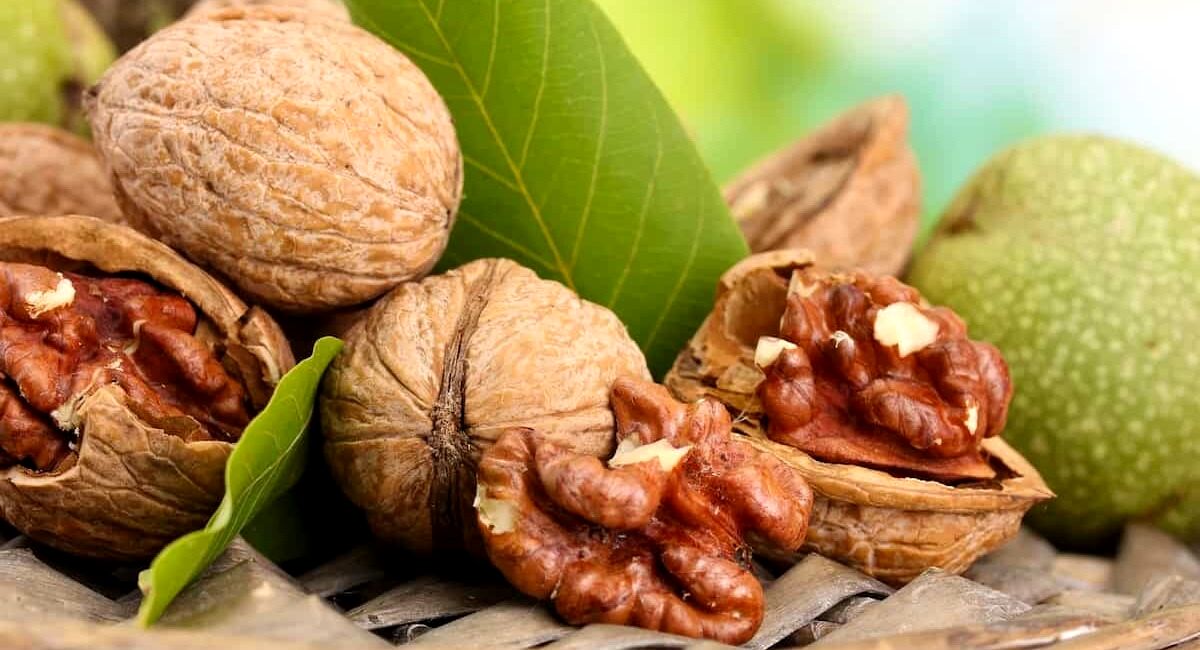 گردو قبل از خواب