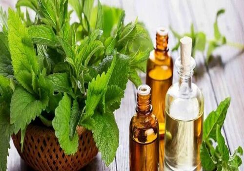 با خواص درمانی عرق پونه دیگه نیاز به دکتر رفتن نداری! + نحوه مصرف