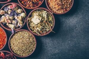 سینوزیت را با این گیاهان دارویی به روش طب سنتی درمان کن 