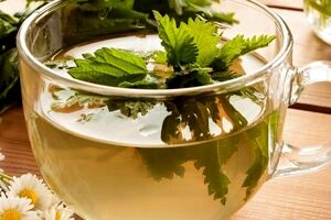 همه خواص دمنوش گزنه + طرز تهیه 