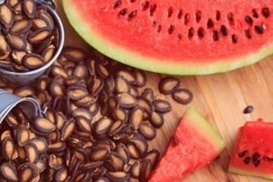 با نخوردن تخم هندوانه، چه آسیبی به بدنمون می زنیم؟ | خواص تخم هندوانه