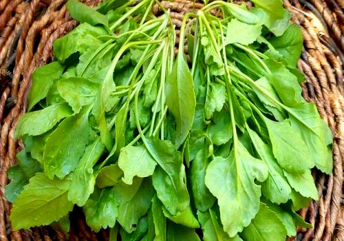 هشدار ! در مصرف سبزی شاهی زیاده روی نکنید! 