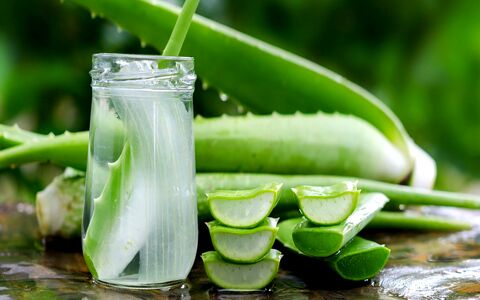 بی نظیرترین گیاه دارویی رو به یه شربت خنک تبدیل کن 