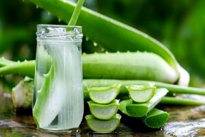 بی نظیرترین گیاه دارویی رو به یه شربت خنک تبدیل کن 