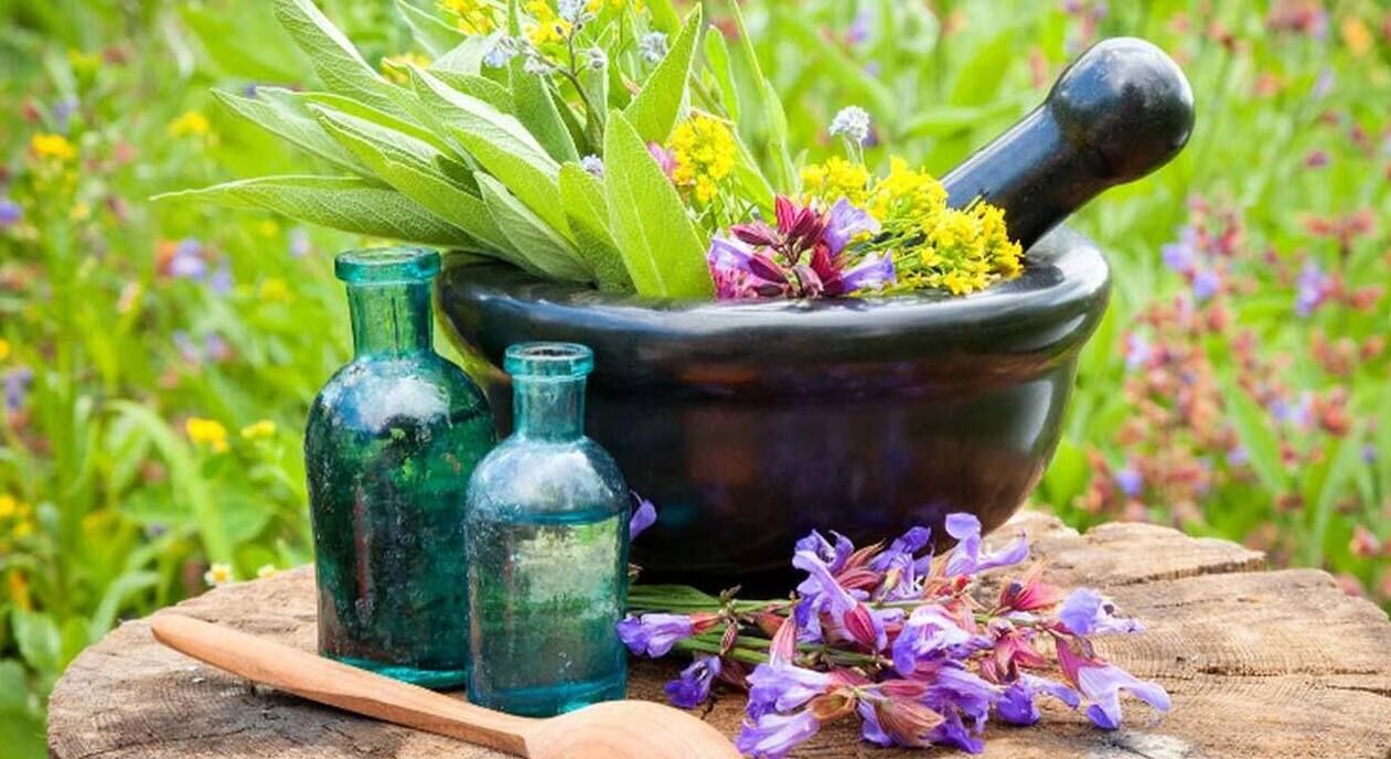 تاثیر عرق کاسنی برای تقویت اسپرم و باروری مردان + نحوه مصرف 