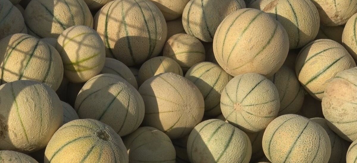 طالبی برای چشم