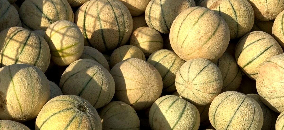 طالبی برای چشم