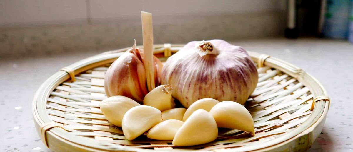 سیر برای پوست و مو 