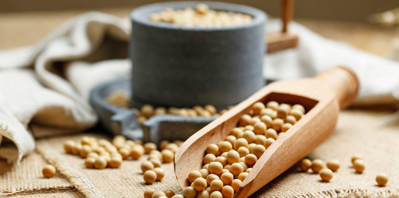مصرف سویا برای این دسته افراد ممنوع است