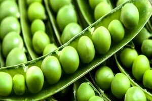 با این روش ها تا یک سال نخود فرنگی تازه و بدون چروک داری 