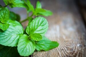 ماسک نعنا برای انواع پوست + نحوه تهیه 