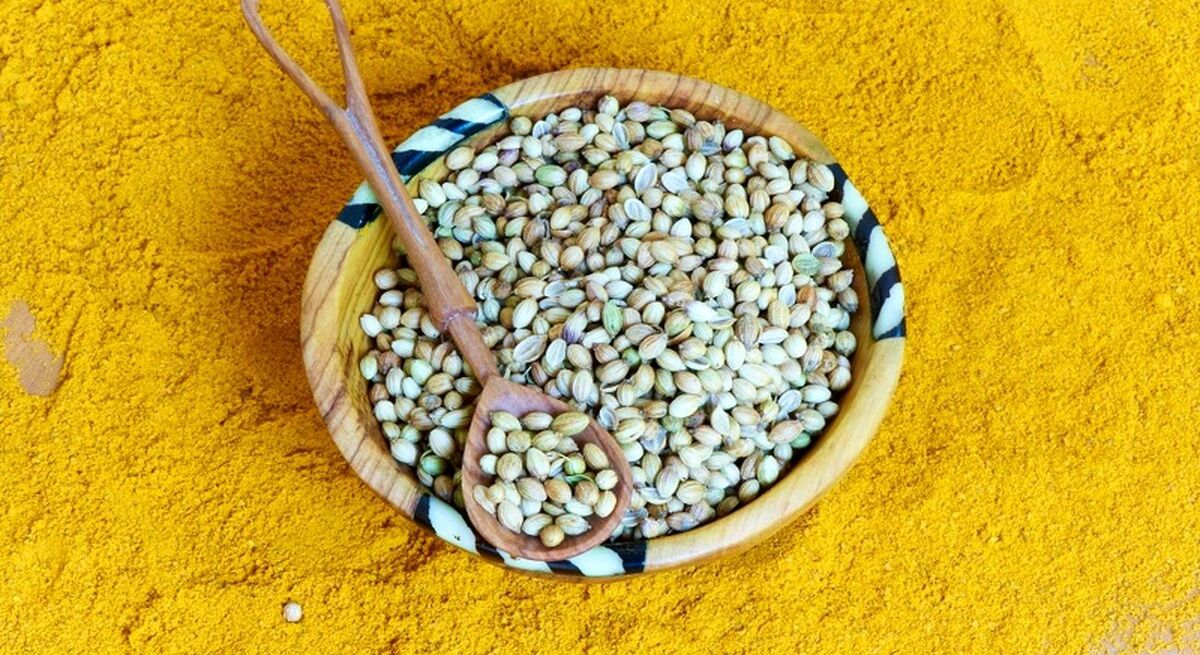 ترنجبین