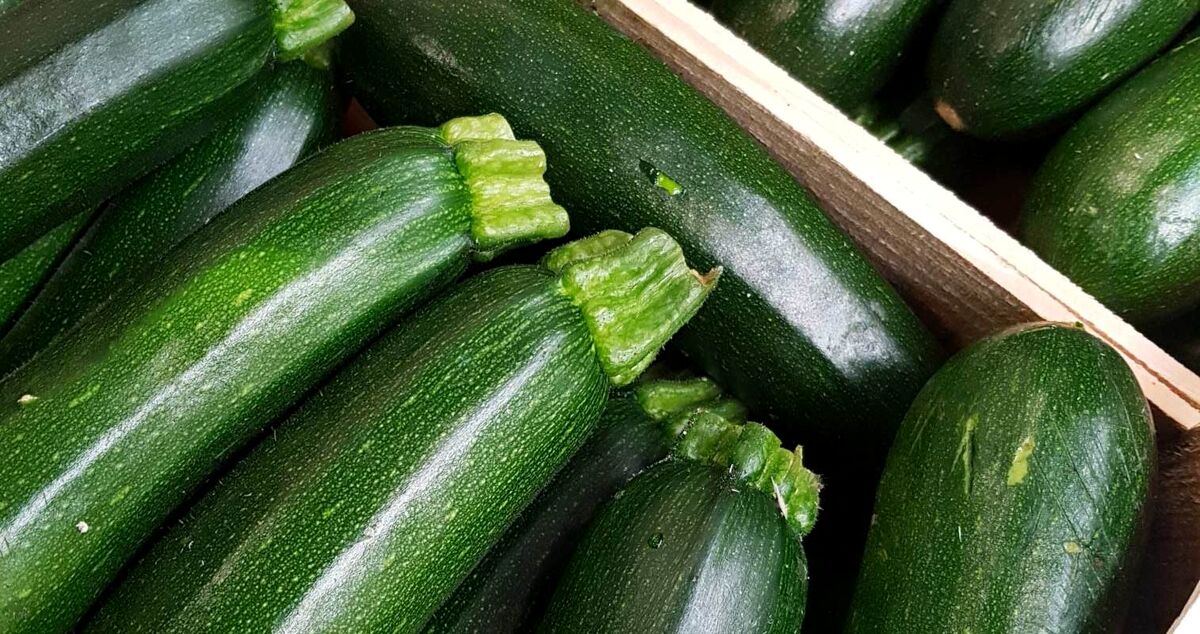 کدو سبز برای چشم