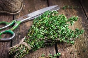 دمنوش آویشن برای پاکسازی ریه + نحوه مصرف