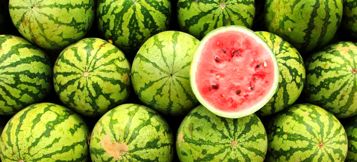هندوانه